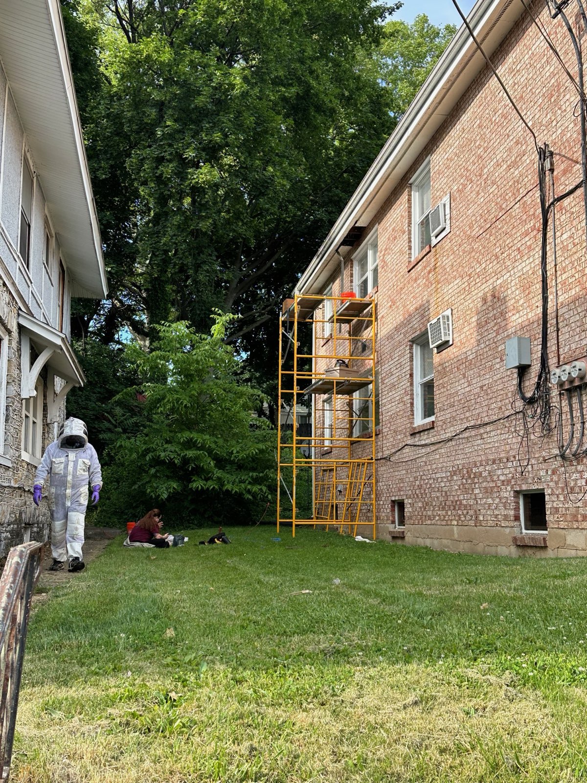 Scaffolding set up for a bee removal high on a brick building in Central PA