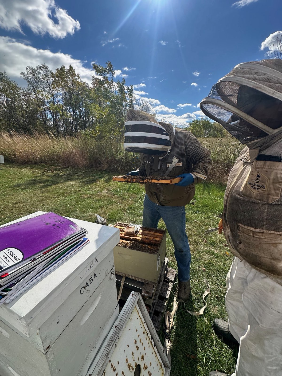 Beekeepers inspecting hives together in Central PA