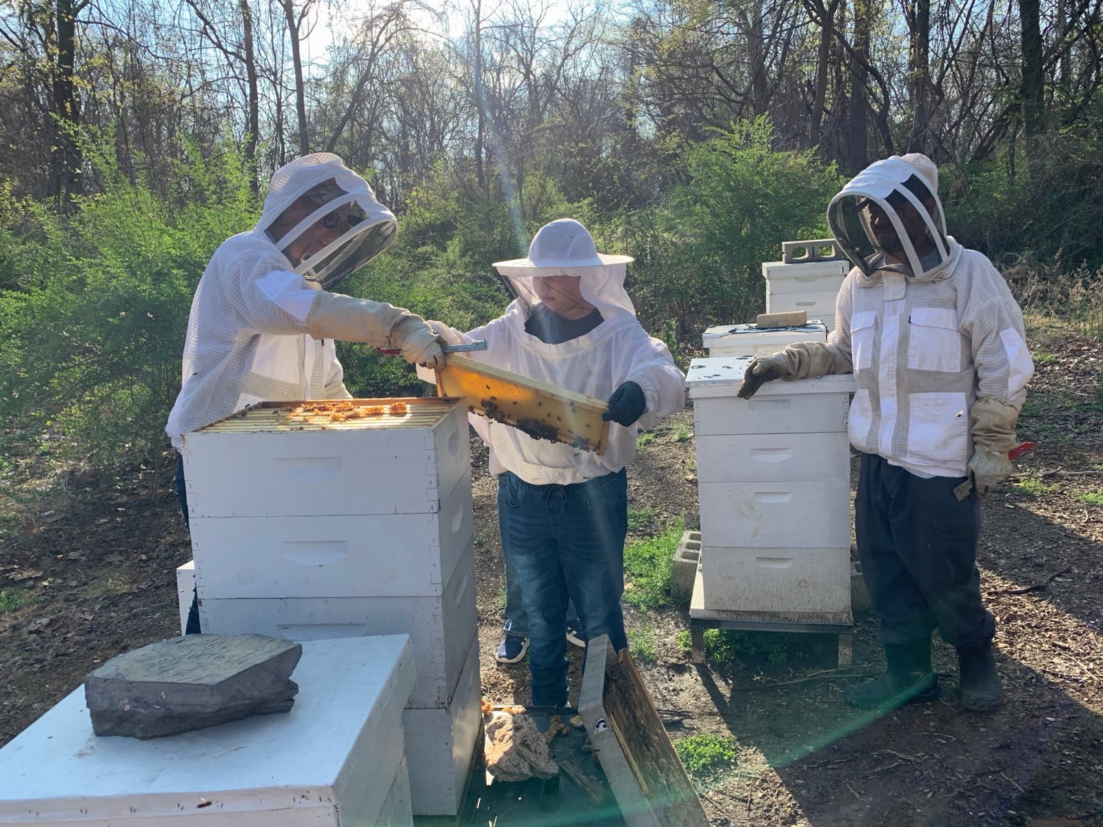 Hands-on mentorship at the hive in Central PA