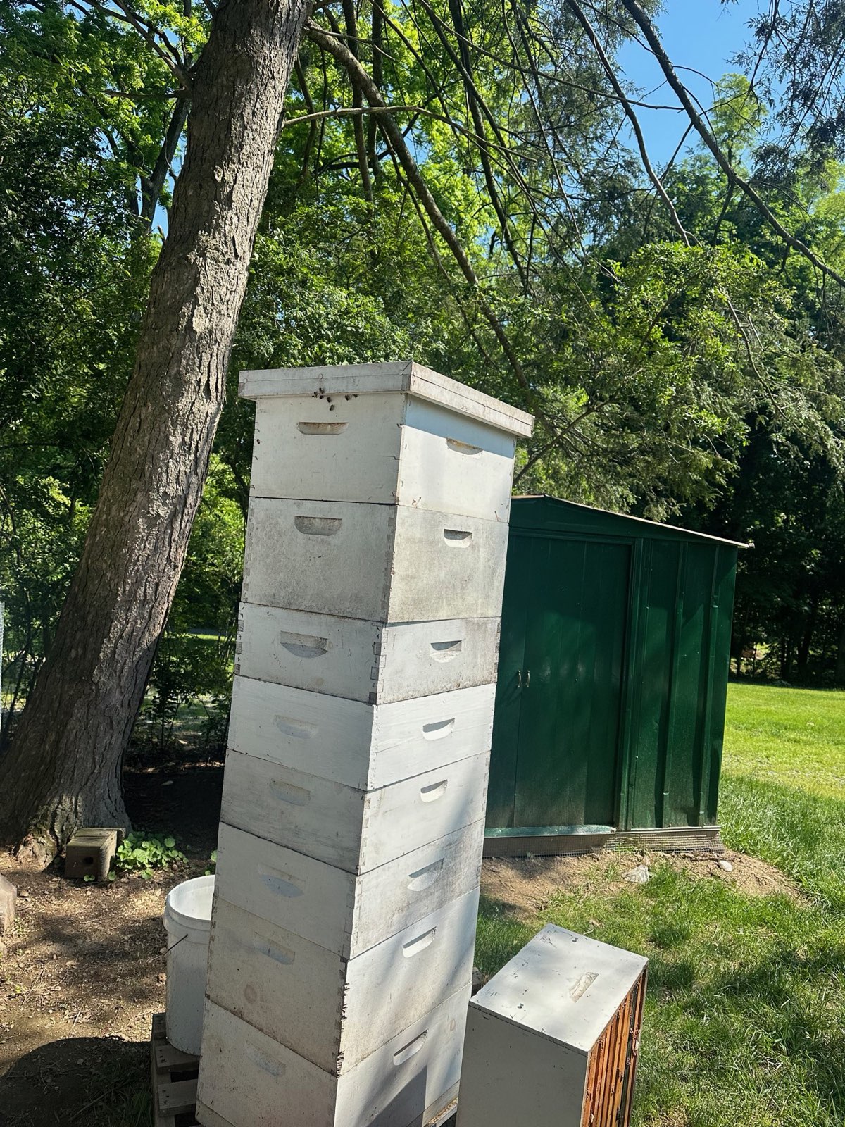 A tall hive stack full of honey supers in Central PA